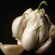 Illustration for article titled Does cooking with sprouted garlic make food taste bad?